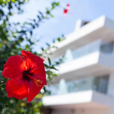 Jerez & Otel