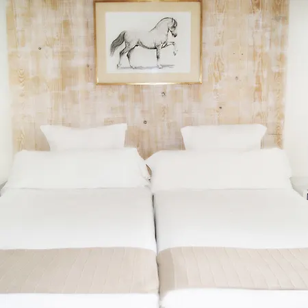 Отель Jerez & 4*